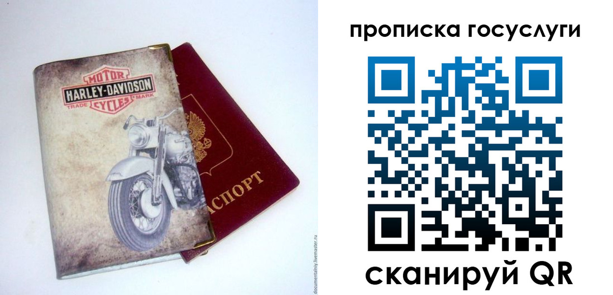 прописка для работы в Полярных Зорях