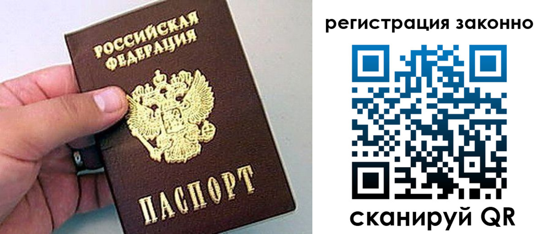 временная регистрация поиск в Полярных Зорях